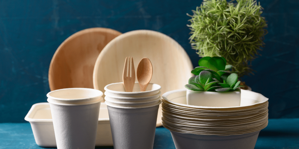 Productos Renovables y Compostables: Claves para un Estilo de Vida Orgánico y Sostenible